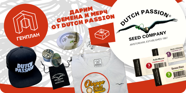 Генплановцы, ловите момент — халява подъехала!